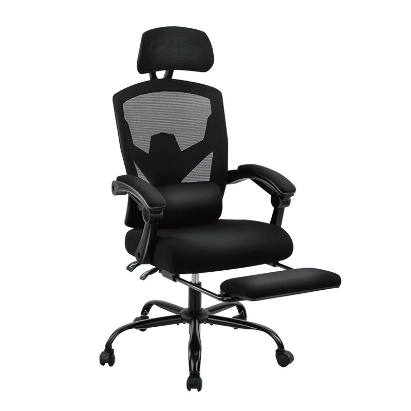 Inbox Zero Hrinder Ergonomic Mesh Task Chair with Footrest Reviews Wayfair